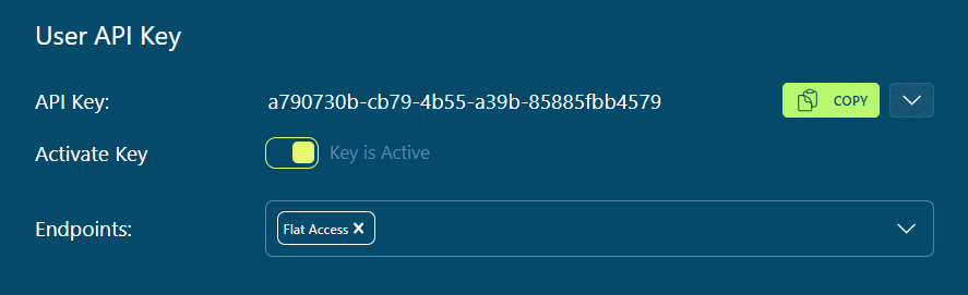 AKI Docs Screenshot of API Key