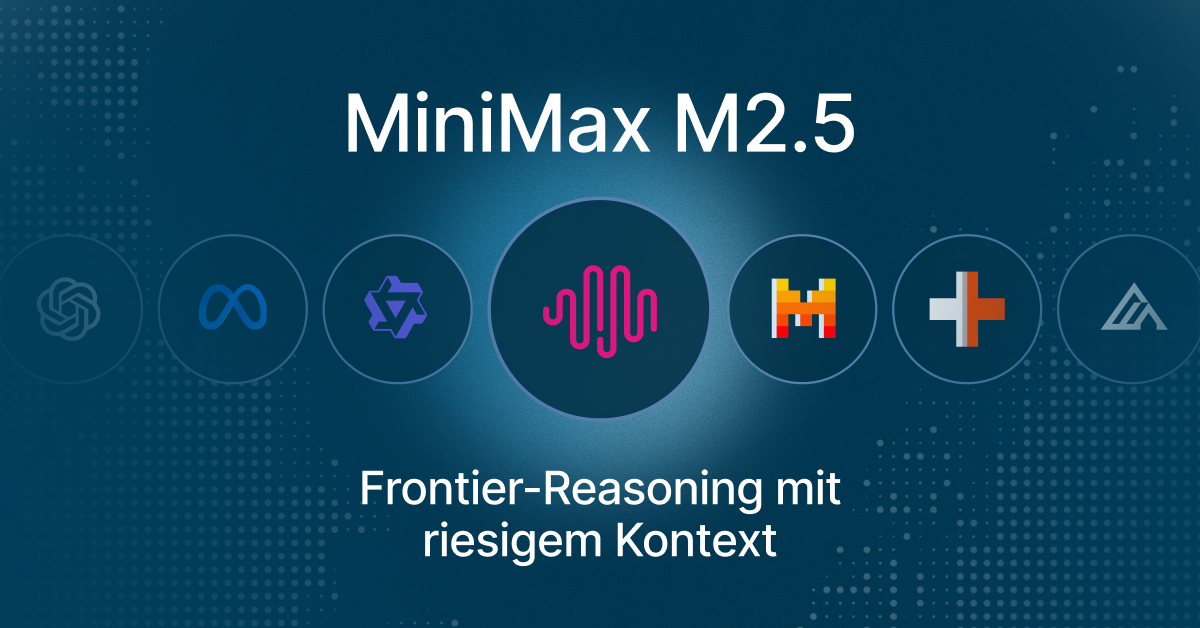 MiniMax M2.5 DE-DE